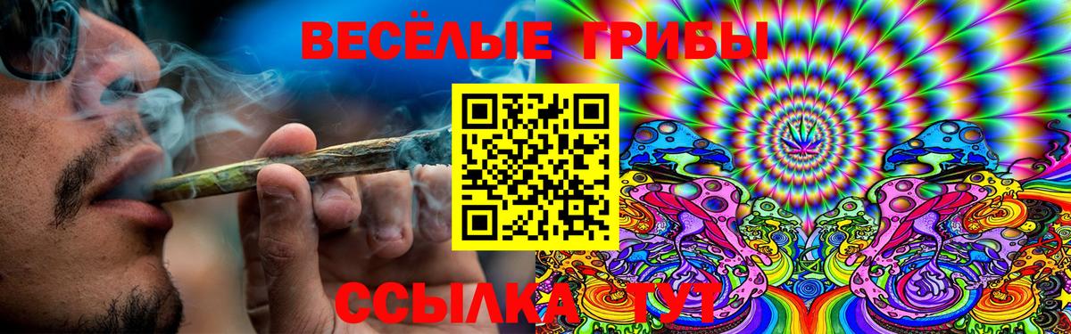Псилоцибиновые грибы GOLDEN TEACHER  Вход с VPN  наркота  Советский 