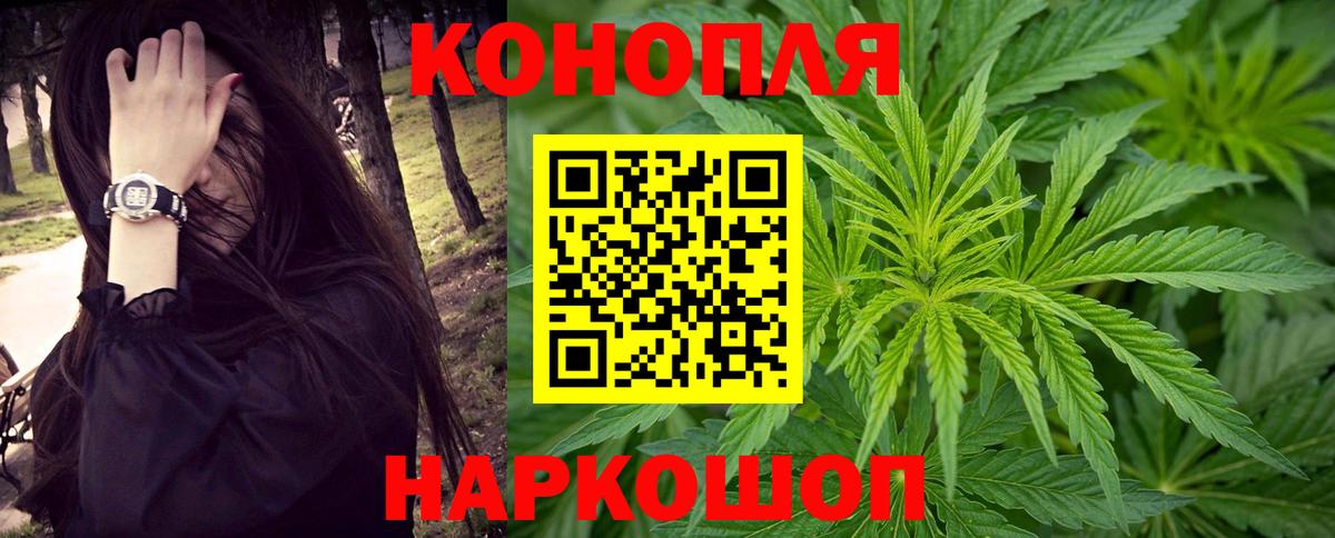 Конопля марихуана Советский